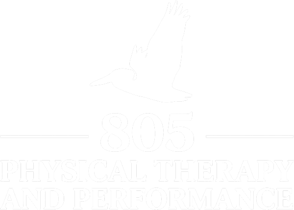 805 Physical Therapy and Performance